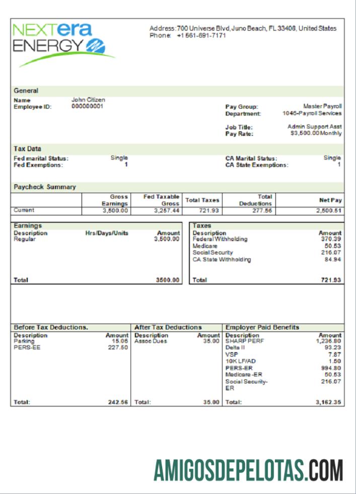 Recibo de pagamento da NextEra Energy Electric Company dos EUA exemplo real